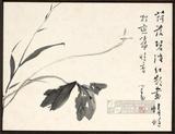 主要品名：荷